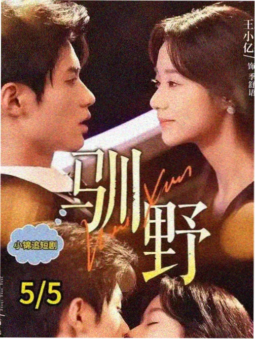 犯罪剧集雾港档案4K在线观看海报